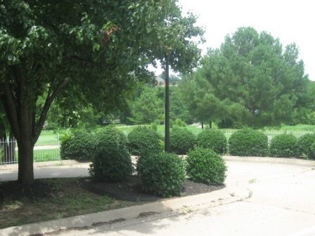 14 Riordan Rd, Bella Vista, AR 72714